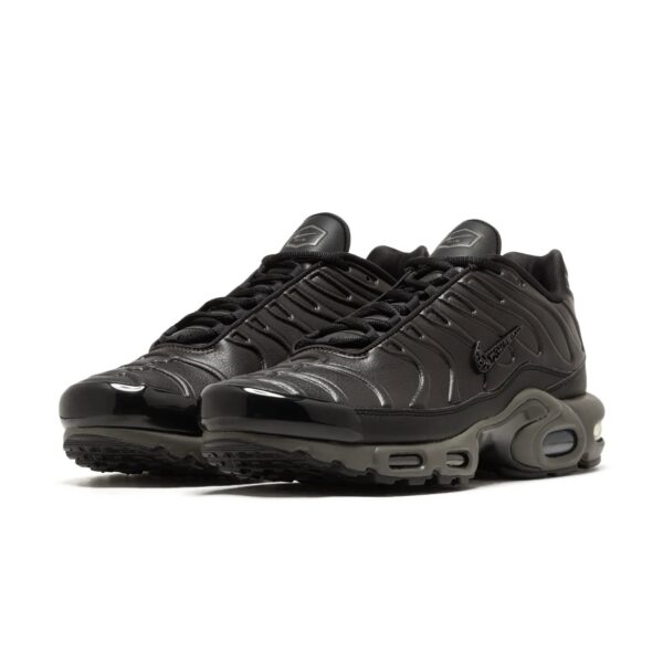 Air Max Plus Premium Paris
