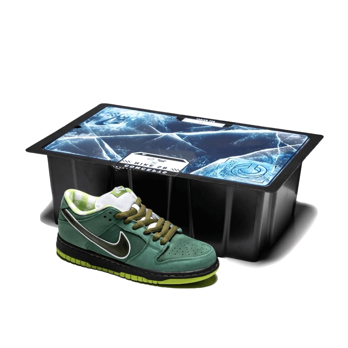 Dunk Low SB Concepts Green Lobster Special Box - immagine 5